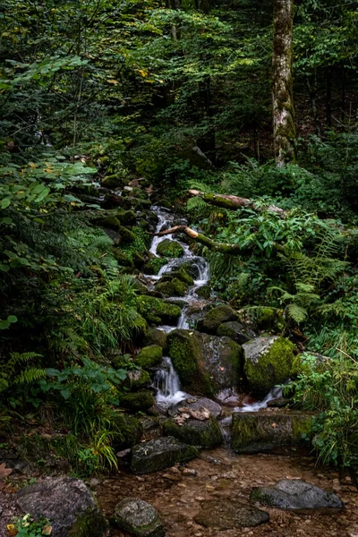 Een Verticale Opname Van All Saints Waterval Oppenau Zwarte Woud — Stockfoto