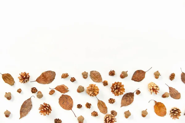 白い背景に紅葉と針葉樹のコーンのクローズアップショット — ストック写真