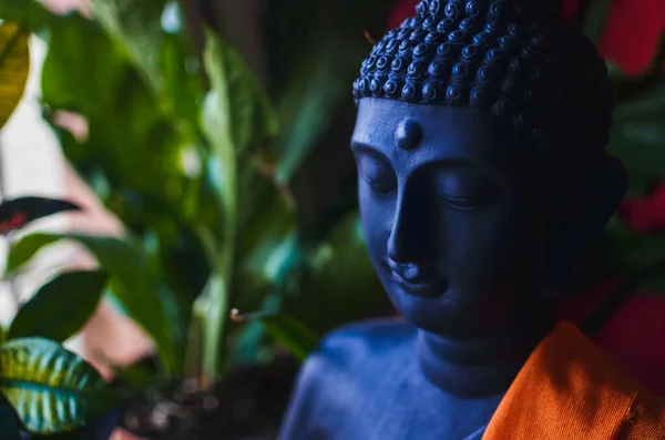 Eine Selektive Fokusaufnahme Einer Buddha Statue Mit Grünen Pflanzen Hintergrund — Stockfoto
