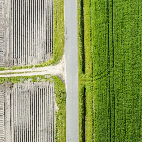 Photographie Aérienne Abstraite Étroit Sentier Asphalté Gris Menant Long Champ — Photo