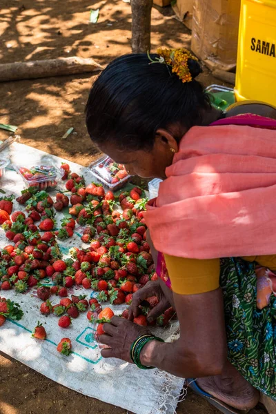Goa Indien März 2019 Netravali Goa Indien März 2019 Erdbeeren — Stockfoto