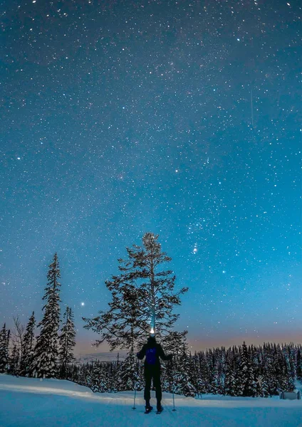 Homem Numa Floresta Nevada Num Dia Inverno — Fotografia de Stock