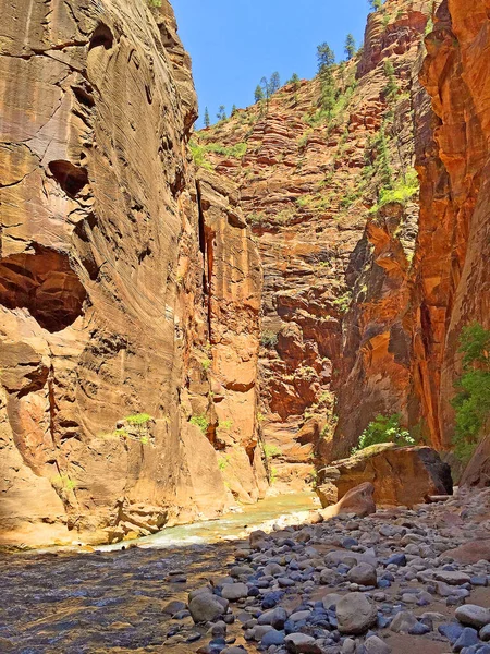 Colpo Verticale Rocce Rosse Nel Parco Nazionale Zion Springdale Usa — Foto Stock