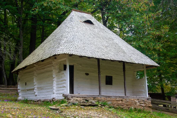 Sibiu Rumänien Oktober 2020 Ist Eines Der Größten Freilichtmuseen Der — Stockfoto