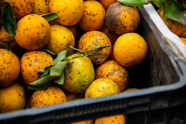 Eine Nahaufnahme Von Reifen Mandarinen Auf Einem Markt — Stockfoto