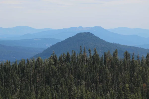 Trees Background Mountains — Stock Photo, Image