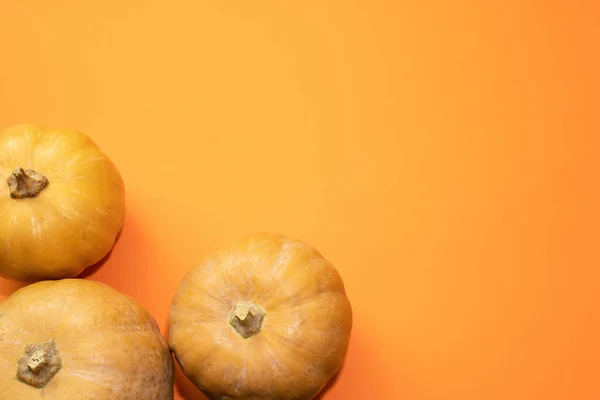 Fondo Naranja Para Halloween Con Calabazas Espacio Copia — Foto de Stock