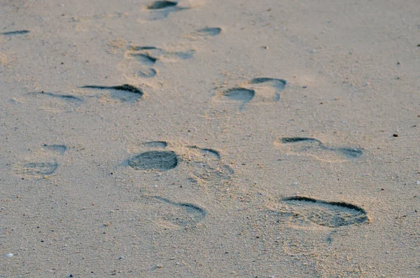 Kumdaki Ayak Izlerinin Yakın Plan Çekimi — Stok fotoğraf