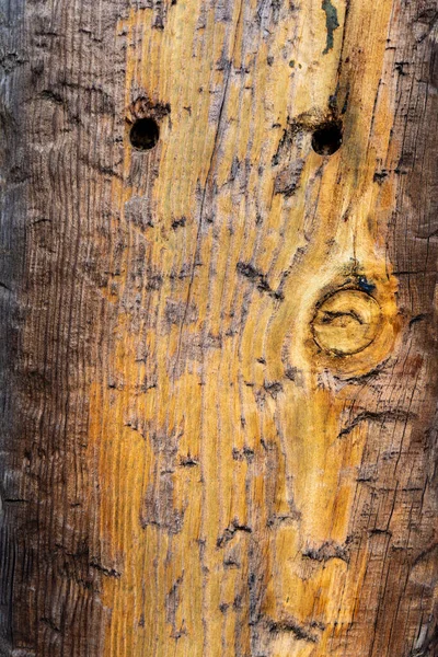 Arka Plan Için Ağaç Kabuğunun Dikey Görüntüsü — Stok fotoğraf