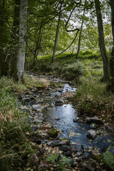 Eine Vertikale Aufnahme Fließenden Wassers Fluss Auf Dem Wald — Stockfoto