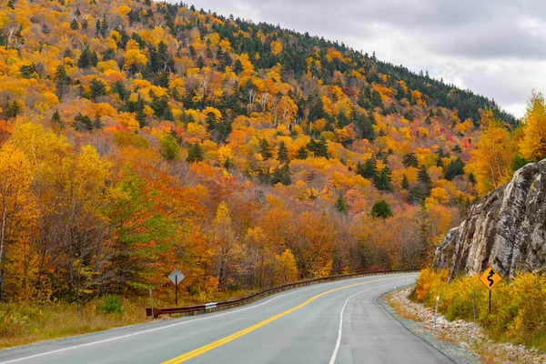 Eine Straße Inmitten Einer Lebendigen Herbstlandschaft Aus Laubbäumen — Stockfoto