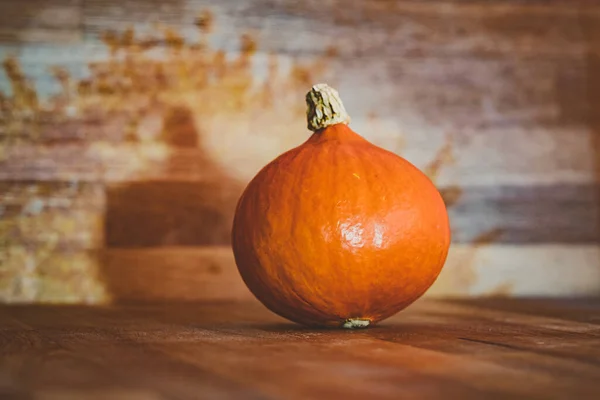 Calabaza Hokkaido Mesa Madera Para Acción Gracias — Foto de Stock