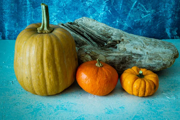 Tiro Ángulo Alto Varias Calabazas — Foto de Stock