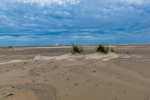 Krásný Záběr Písečnou Pláž Zamračeném Pozadí Oblohy Borkum Německo — Stock fotografie