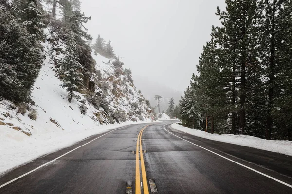 Largo Camino Asfalto Rodeado Verdes Cubiertos Nieve Niebla Ideal Para — Foto de Stock