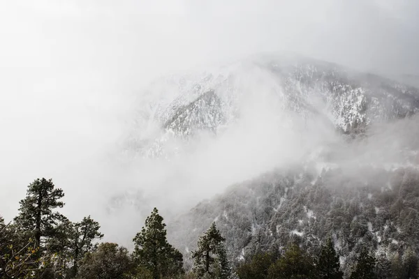 Las Hermosas Montañas Cubiertas Niebla Bosque Nacional Los Ángeles California — Foto de Stock