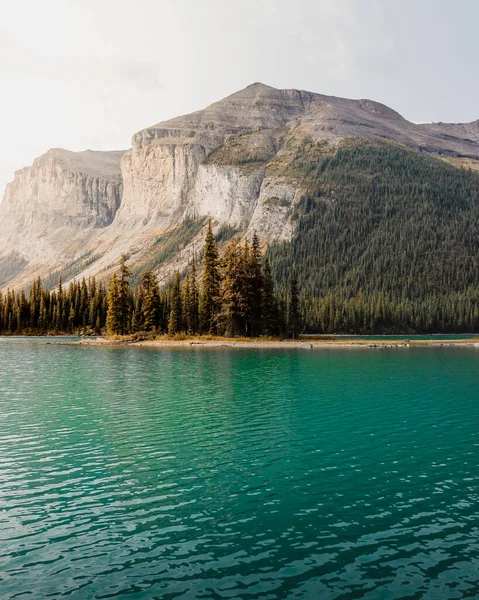 Okouzlující Záběr Klidného Jezera Obklopeného Horami Národním Parku Jasper — Stock fotografie