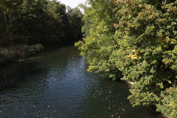 Тиха Річка Зарослими Зеленими Берегами — стокове фото