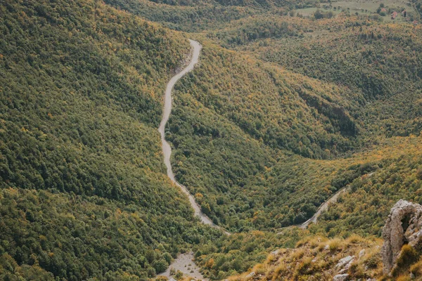 Een Luchtfoto Van Een Landweggetje Dat Door Bomen Bergen Loopt — Stockfoto