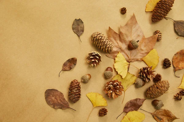Closeup Shot Autumn Leaves Conifer Cones Wooden Background — Stock Photo, Image