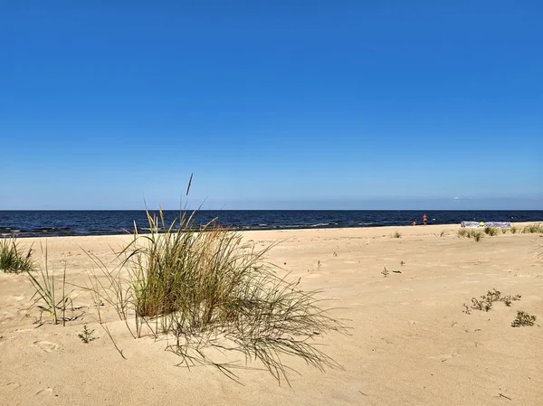 Piaszczysta Plaża Morza Bałtyckiego Letni Dzień — Zdjęcie stockowe