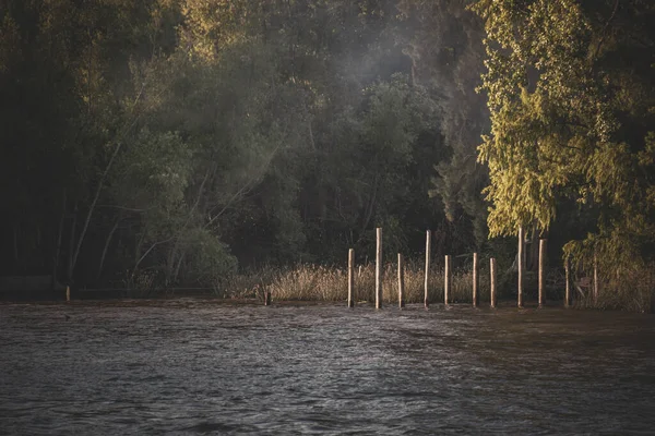 Una Bella Foto Del Delta Del Tigre Argentina — Foto Stock