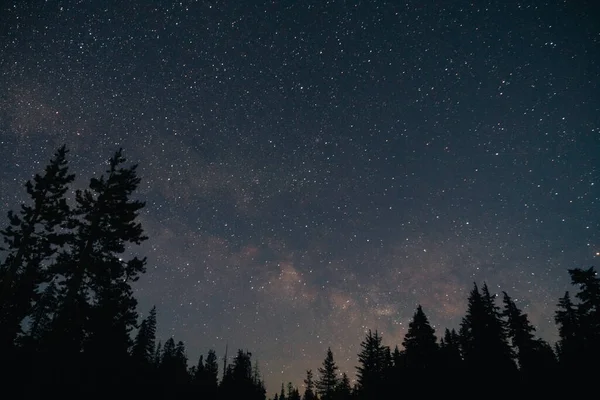 Les Hvězdná Obloha Noci — Stock fotografie