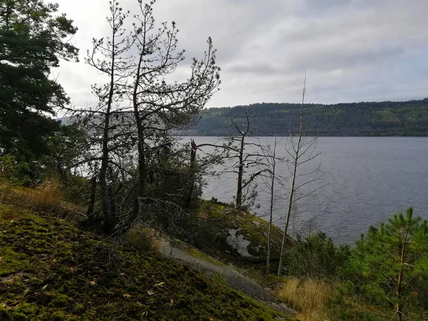 Beautiful View Cliff Farris Lake Larvik Norway — Stock Photo, Image