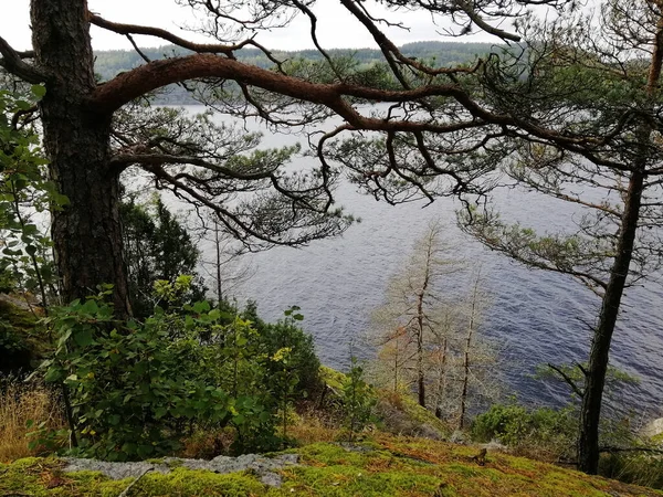 Ángulo Alto Acantilado Cerca Del Lago Farris Larvik Noruega —  Fotos de Stock