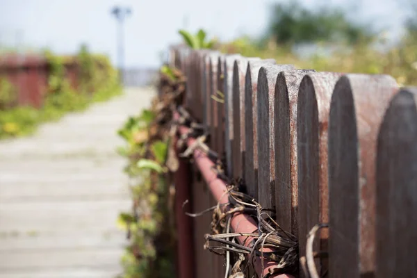 Wooden Fence Design Park Walking Way — Stock Photo, Image