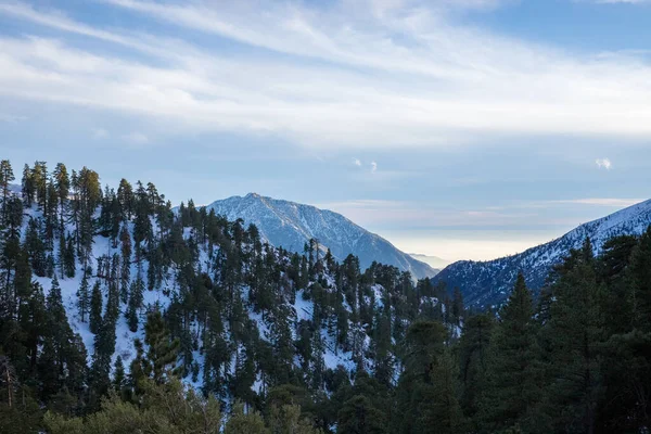 Vue Aérienne Des Montagnes Couvertes Verdure Neige Dans Forêt Nationale — Photo