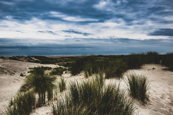 Uma Bela Foto Uma Praia Areia Fundo Céu Nublado Borkum — Fotografia de Stock