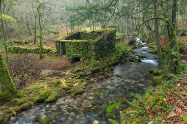 The ruins of an old house along the Fraga river in the community of Galicia clipart