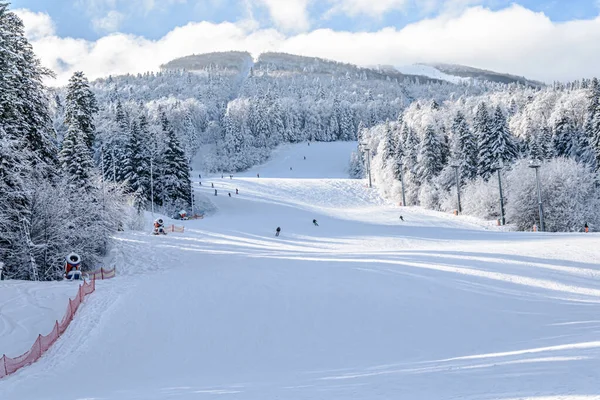 Une Belle Vue Sur Une Piste Ski Entourée Arbres Bosnie — Photo