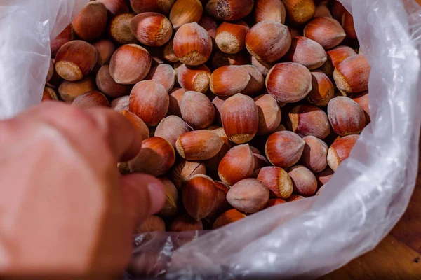 Een Close Shot Van Een Hand Het Nemen Van Hazelnoten — Stockfoto