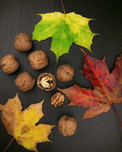 Una Posa Piatta Colpo Foglie Colorate Autunno Noci Uno Sfondo — Foto Stock