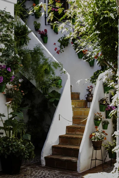 Tiro Vertical Uma Escada Livre Adornada Com Plantas Penduradas Vasos — Fotografia de Stock