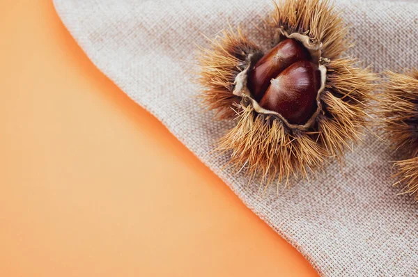 オレンジを背景に殻の中の甘い栗のクローズアップ — ストック写真