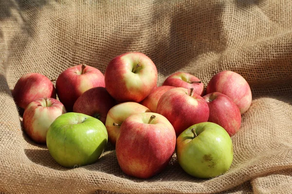 Closeup Shot Fresh Green Red Apple Brown Netting — Stock Photo, Image