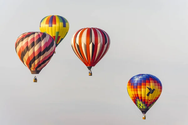 Négy Merész Pilóta Színes Hőlégballonokkal Csíkokkal Ellenőrzésekkel Egy Kosarakban Lebegő — Stock Fotó