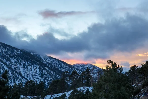 Les Montagnes Brillent Sous Coucher Soleil Dans Forêt Nationale Angeles — Photo