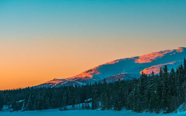 Ein Schöner Sonnenuntergang Über Einem Verschneiten Wald — Stockfoto