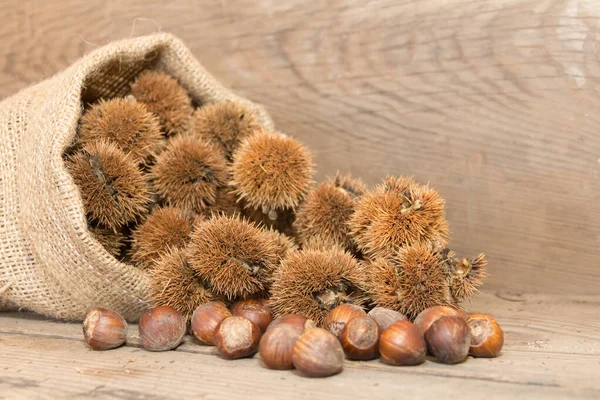 Säckchen Mit Kastanien Und Haselnüssen Auf Rustikalem Holz Mit Platz — Stockfoto