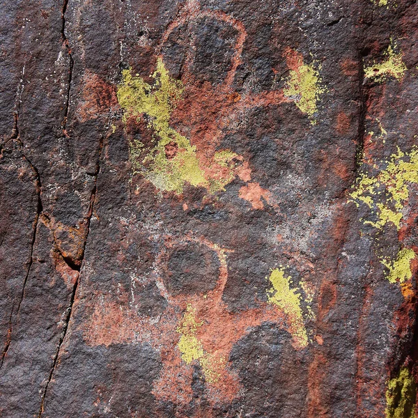 Detailní Záběr Petroglyfů Národním Parku Talampaya Argentina — Stock fotografie