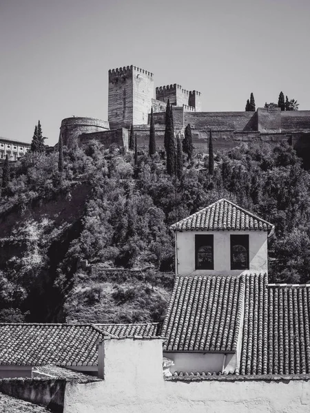 Grayscale Záběr Hradu Alhambra Dne Granadě Španělsko — Stock fotografie