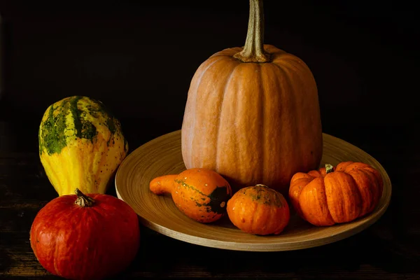 Gros Plan Diverses Courges — Photo
