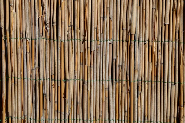 Забор Бамбуковых Палочек Закрепленных Проводами — стоковое фото