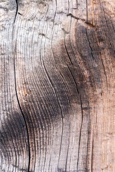Μια Κάθετη Λήψη Υφής Φλοιού Δέντρου Για Φόντο — Φωτογραφία Αρχείου