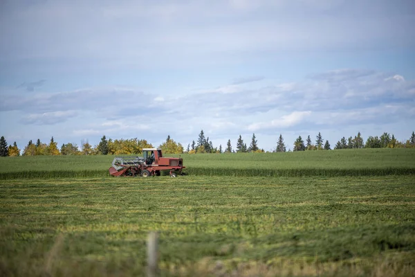 Tractor Rojo Campo Verde Brillante Bajo Cielo Azul Clearwater Canadá —  Fotos de Stock