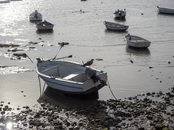 Barche Sulla Riva Mare Giorno — Foto Stock